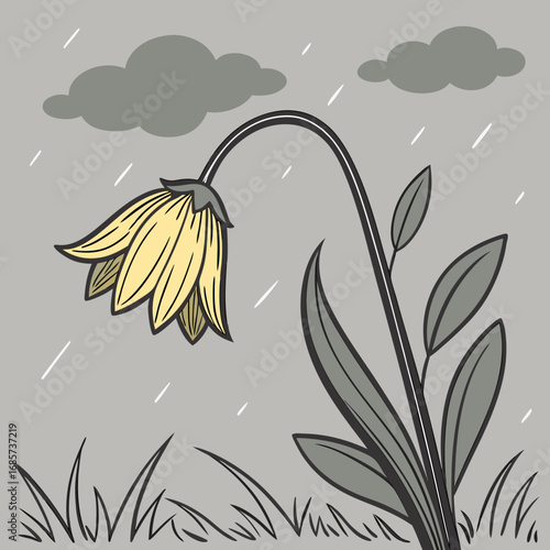 sunflowers in bad weather
