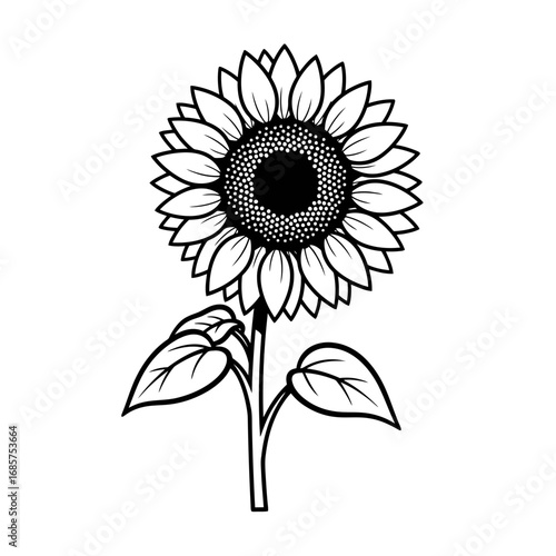 Vector art of a simple black and white line art illustration of a sunflower with leaves, isolated on a