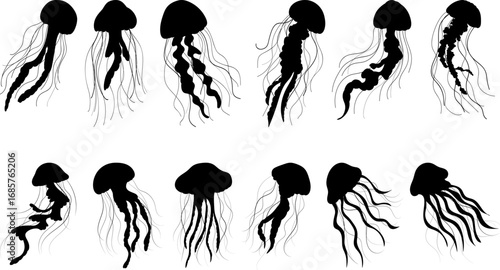 set sea jellyfish silhouette vector
