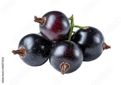 Close-up of dark purple currants