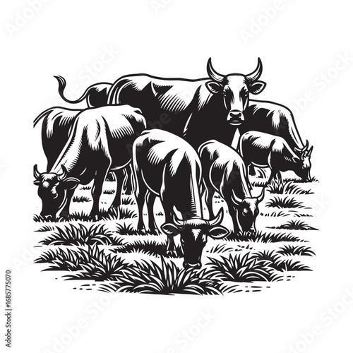 Black and White Vector Illustration of Cows Grazing in a Field