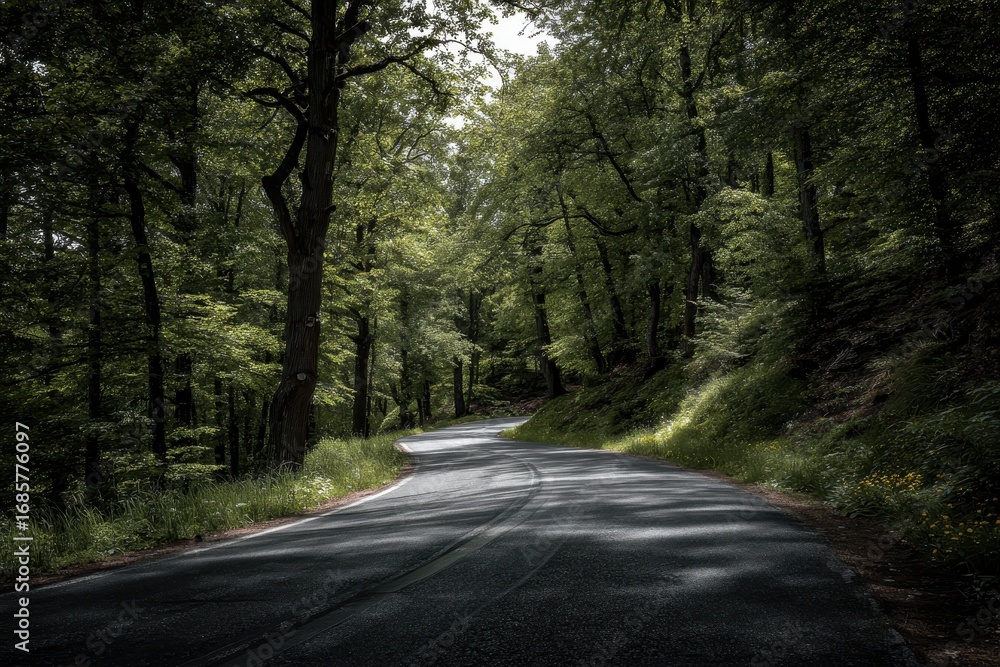 Obraz premium Winding country road through lush green forest during late afternoon light