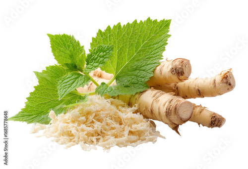 Fresh horseradish roots and leaves