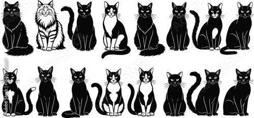 Vector illustration of sixteen seated cartoon cats with unique fur patterns, black and white markings, stylized poses, and forward-facing expressions