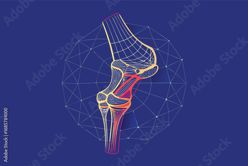Detailed illustration of human knee joint anatomy with geometric design elements