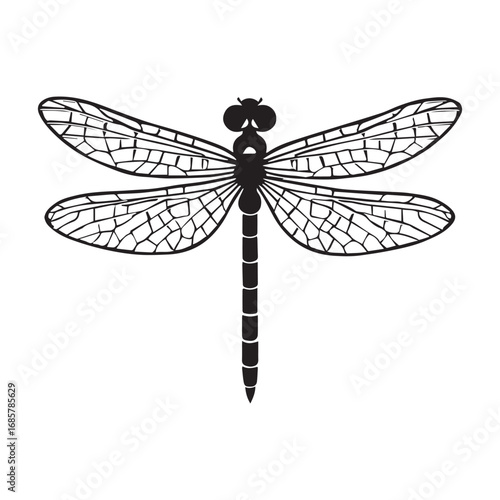 Black dragonfly silhouette detailed wings insect
