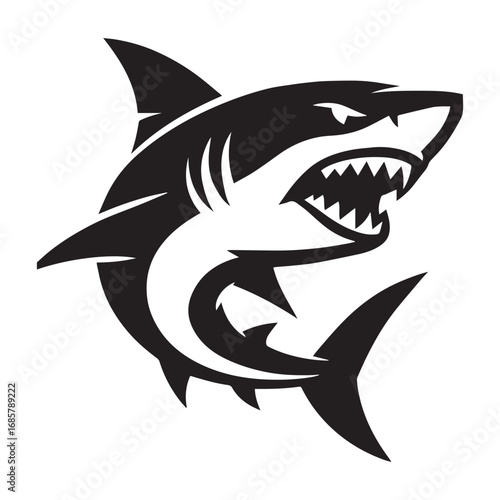 Fierce shark aggressive predator marine life ocean