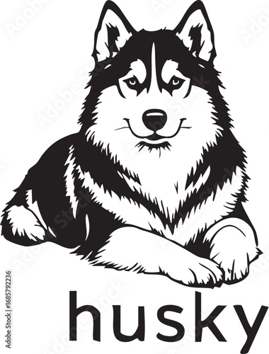Friendly Husky dog breed illustration with "husky" text, canine pet, and sled dog mascot.

