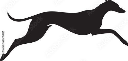 Powerful and fast running greyhound dog silhouette

