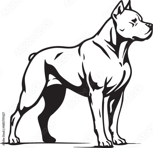 Cane Corso dog with docked ears standing illustration

