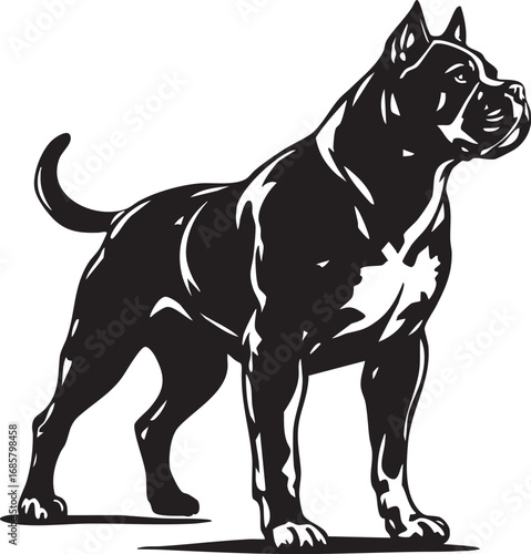 Powerful Cane Corso dog standing illustration

