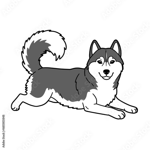 Husky coloring page. Playful cartoon arctic dog for kids printables and educational worksheets
