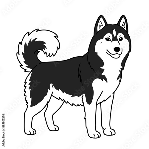 Husky coloring page. Standing siberian dog for classroom worksheets and pet breed education