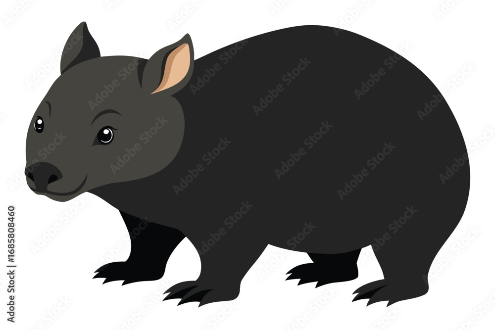 Obraz premium Wombat exploring a grassy area during daytime in a natural habitat setting