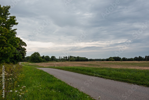 Paved rural road surrounded by a harvested rye field and green grass in Estonia. The serene evening landscape is set against a beautiful cloudy sky and a distant treeline.