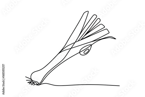 Continuous One-Line Vector Drawing of a Hand Holding a Leek or Spring Onion. Editable Stroke.