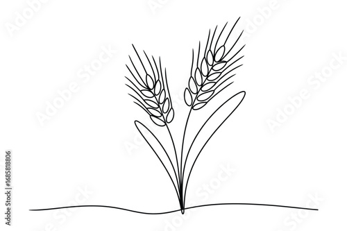 Continuous Line Drawing of a Stalk of Wheat or Grain