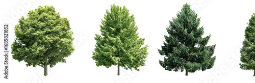 Four different tree silhouettes (2)