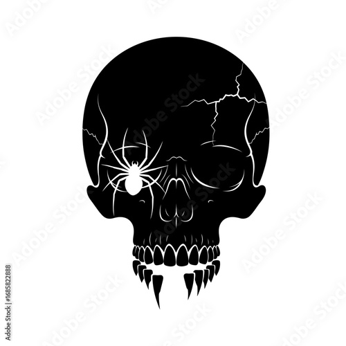Illustration of a skull with a spider, a symbol of death, horror, and arachnophobia