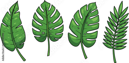 various types of tropical leaves illustrated in green
