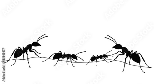 Silhouettes of ants marching in a line across a thin branch against a stark white background