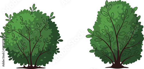 lush green trees with dense foliage standing side by side