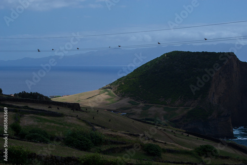 archipel, îles des açores, portugal