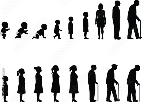 Human life stages silhouette, baby to elderly, male and female aging process, growth development, childhood adulthood senior, family generation cycle
