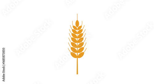 Golden wheat ear simple design on white background