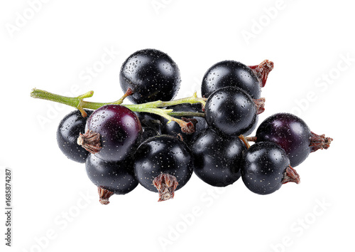 Close-up of fresh black currants on stem