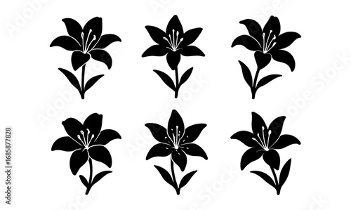 Elegant black silhouette flowers pattern on white background