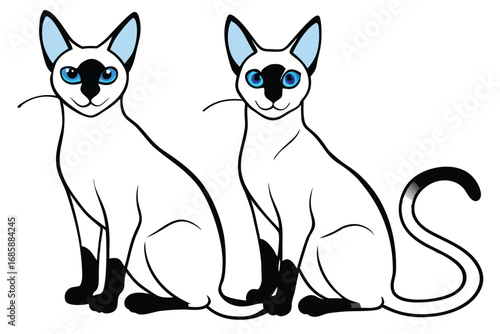 Cute Siamese Cats Illustration for Pet Lovers