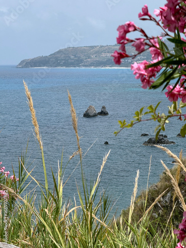 Wallpaper Mural seascape, Italy, Calabria, road to the sea among blooming oleanders Torontodigital.ca
