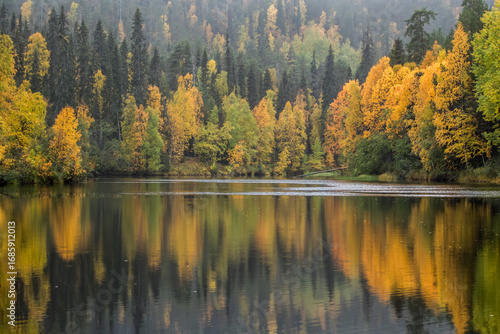 Beautiful reflection of fall colors on river surface during autumn foliage at Finnish Lapland near Kuusamo, Europe