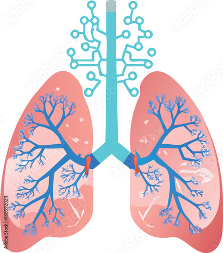 Artificial intelligence and human lungs
