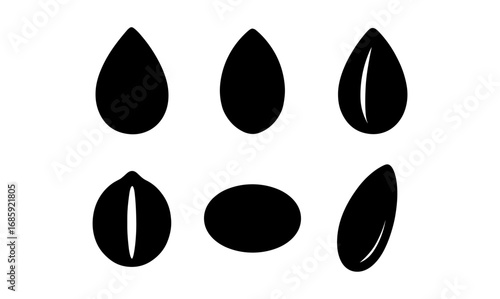 Minimalist silhouette of nuts and seeds on white background