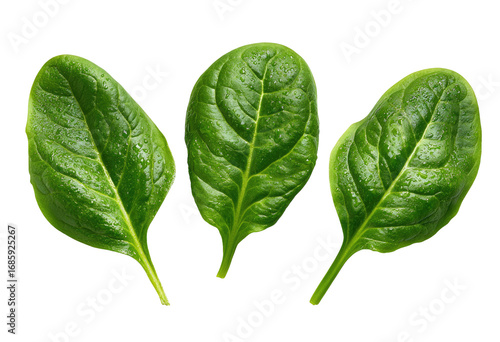 Close-up of three spinach leaves, vibrant green, highlighted edges