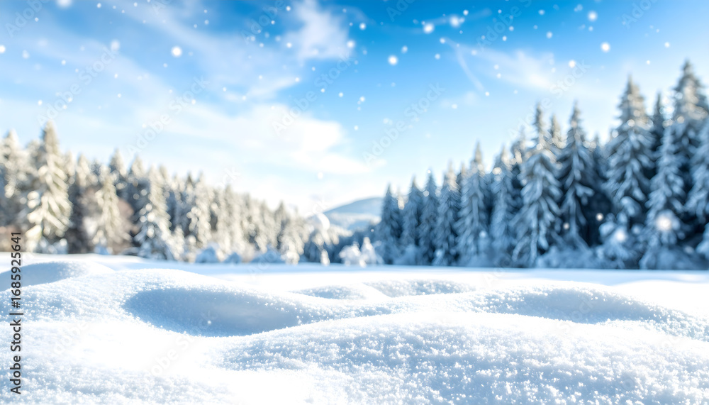 Fototapeta premium Peaceful Snowy Forest in Winter