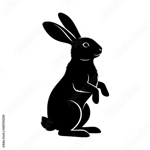 Black Rabbit Standing Upright Illustrating Nature Wildlife Creatures Mammals