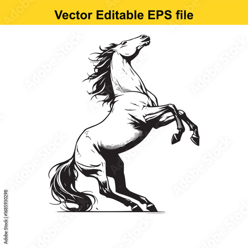 A rearing horse illustration, isolated on white background