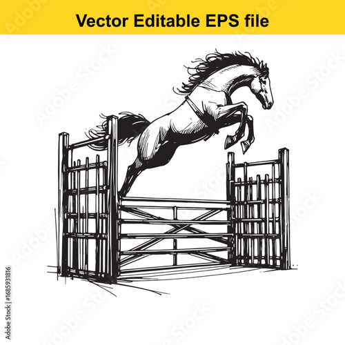Horse jumping over a fence, isolated on white background
