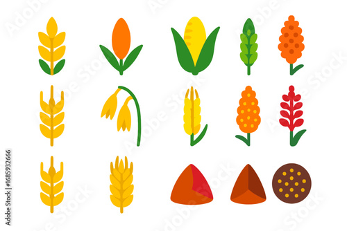 Bright Cereal Icons. Flat vector icons of cereal crops: wheat, rice, corn, barley, oats, rye, millet, sorghum, triticale, spelt,