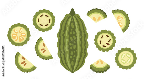 Bitter melon illustration showcasing whole and sliced pieces on plain background