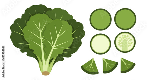 Chard harvest illustration displaying whole plant and sliced sections for