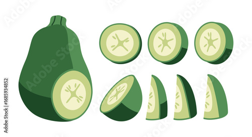 Stylized sliced zucchini vector illustration in shades of green depicting