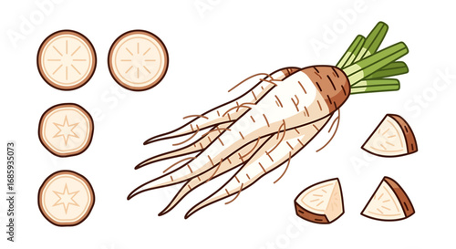 Stylized representation of whole and sliced parsnips illustrating healthy eating