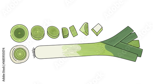 Illustration of a leek with cross-sectional slices for culinary preparation