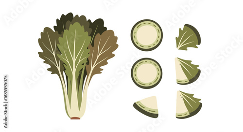 Stylized illustration showcasing mustard greens with sliced sections on display