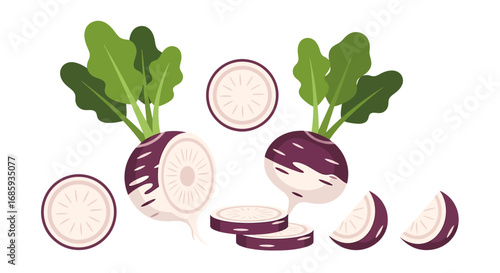 Whimsical turnips illustration showing sliced and whole root vegetables