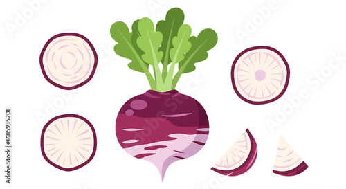 Stylized depiction of a vibrant purple radish and slices, isolated on white